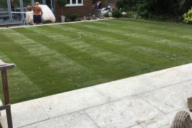real-lawn-10