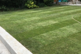 real-lawn-9