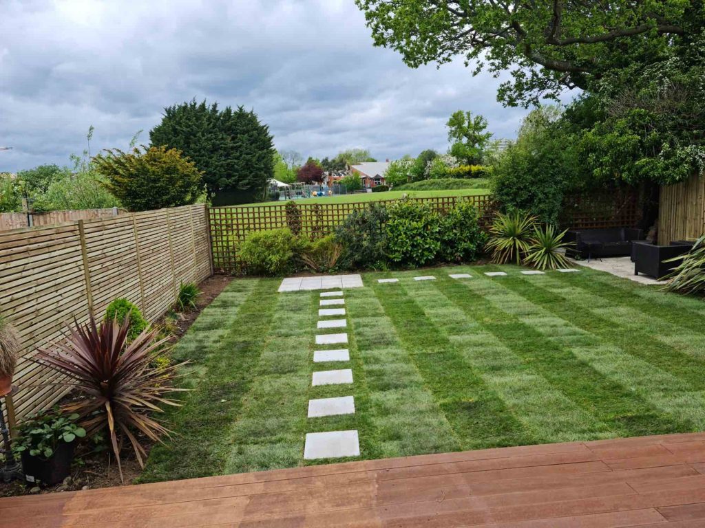 Lawn Replacement with Ground Preparation Muswell Hill