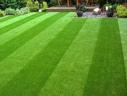 real-lawn-gallery